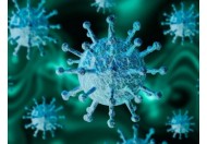 Коронавірус: профілактика захистить вас від хвороб!