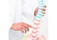 Здоровий хребет - здоровий організм