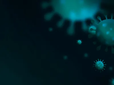 Очистка организма от паразитов